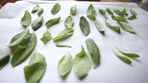 "shock" fresh herbs