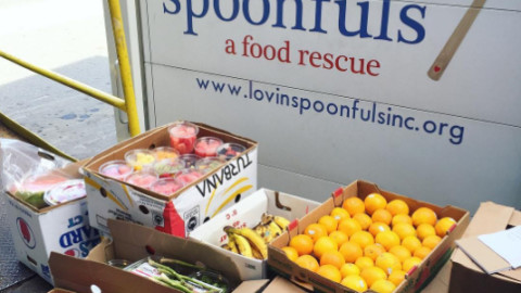 fighting food waste