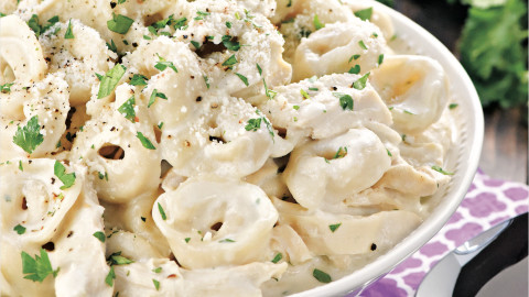 Chicken Alfredo Tortellini