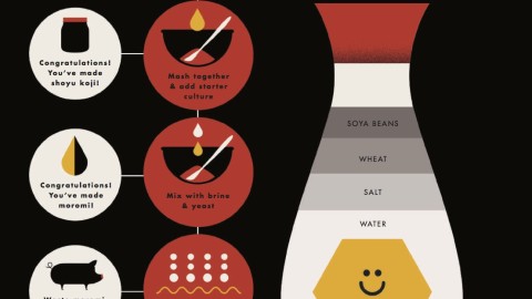 How To Make Soy Sauce