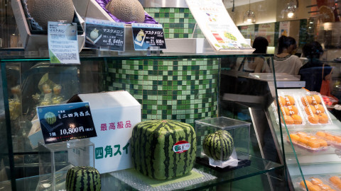 melons