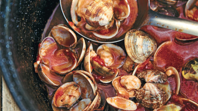 Article featured image