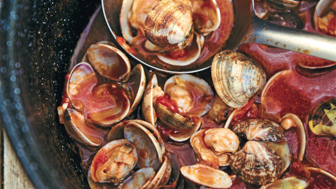 how to purge clams