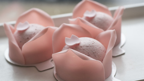mother's day gift guide
