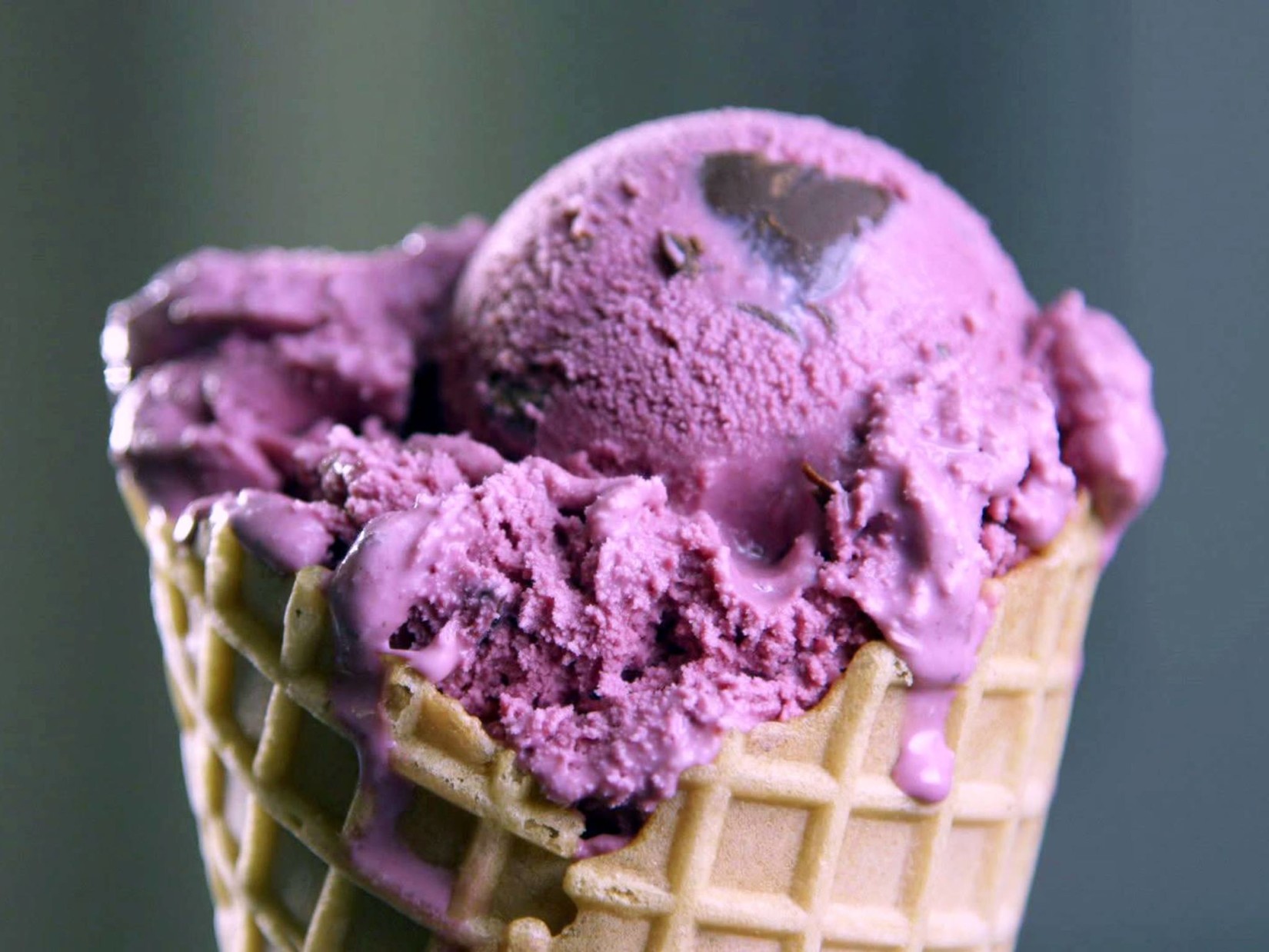 Graeter's Ice Cream To Benefit Baby Hippo This Week In Food Activism