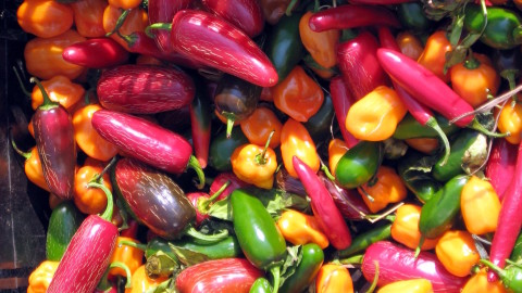 csa box