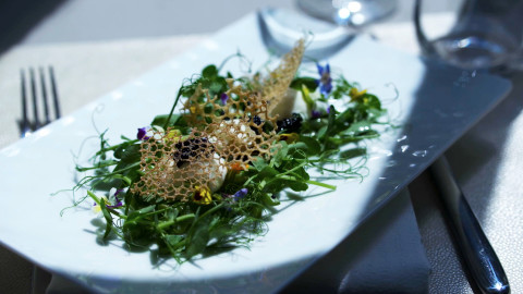 Scott Conant next-level caesar salad