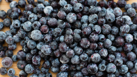 wild blueberries