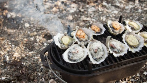 grilled oysters