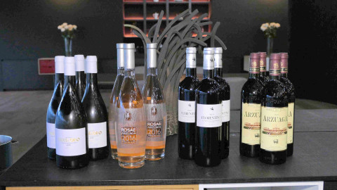 Ribera del Duero and Rueda