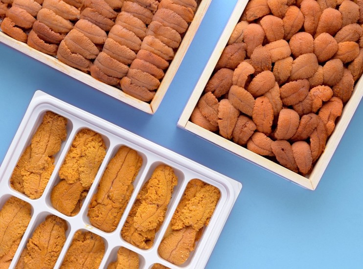 Japanese Culinary Terms