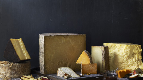 Cheddar