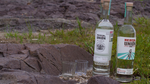 mezcal union