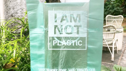 biodegradable bags