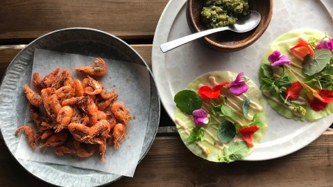 noma