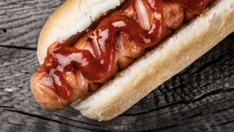 Cultured Meat Startup