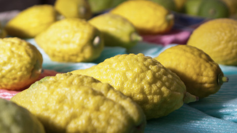 What Is Etrog