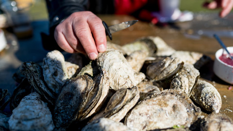 oysters at Charleston Wine and food festival