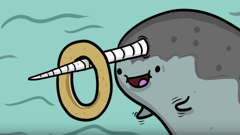 narwhal eating a bagel