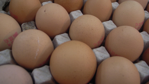 egg recall