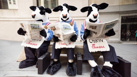 chick-fil-a