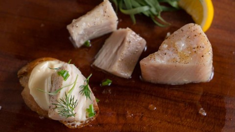 albacore