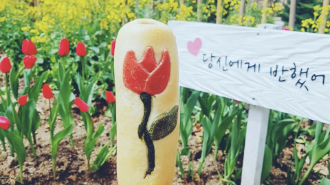 tulip food