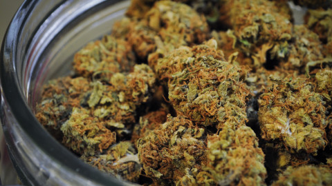 cannabis cooking competition