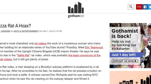 Gothamist