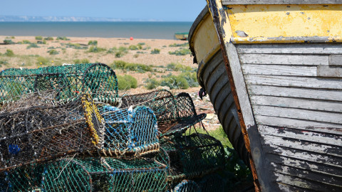 new england's fishing