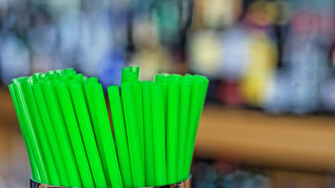 plastic straw ban